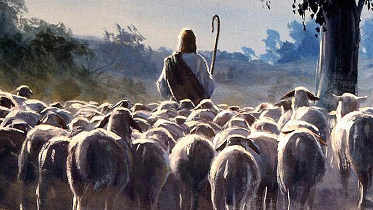 Seguir o Bom Pastor: arriscar-se com coragem pela promessa do Senhor